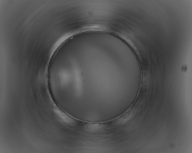 X0000091511474200708241619