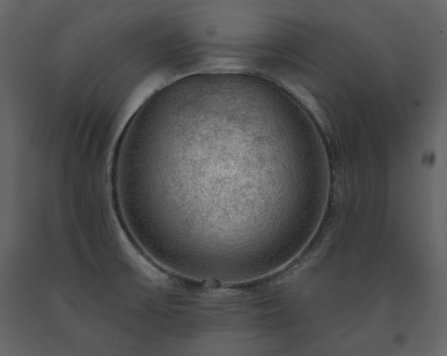 X0000091511475200708241619