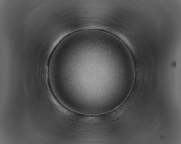 X0000091511476200708241619
