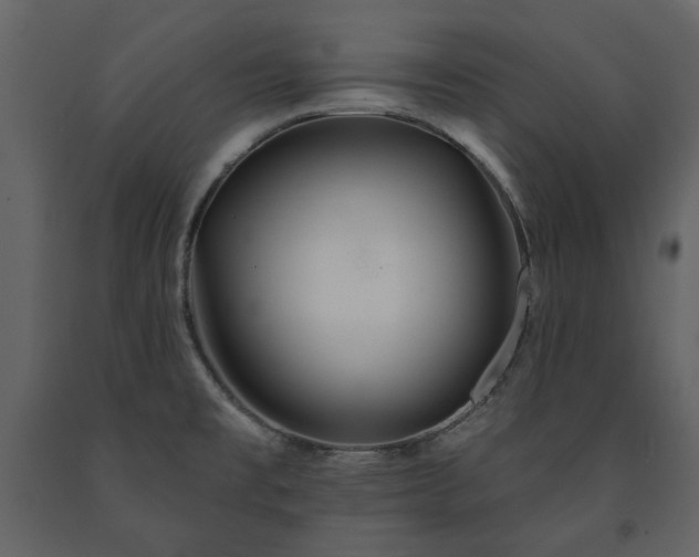 X0000091511477200708241619