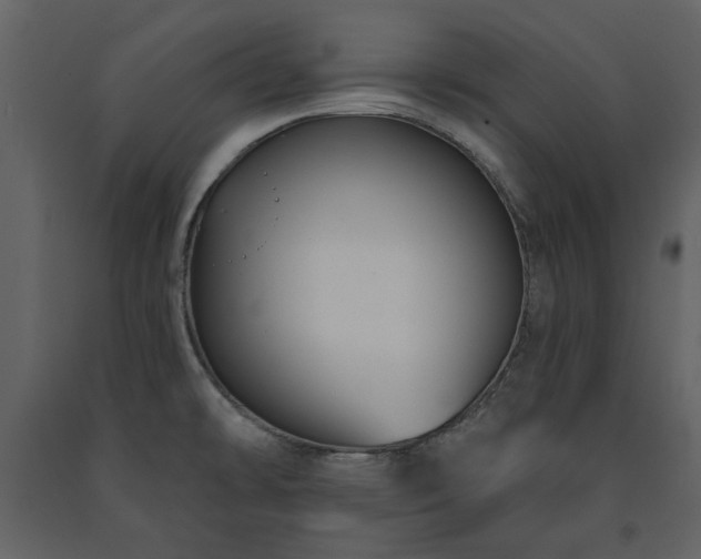 X0000091511478200708241619
