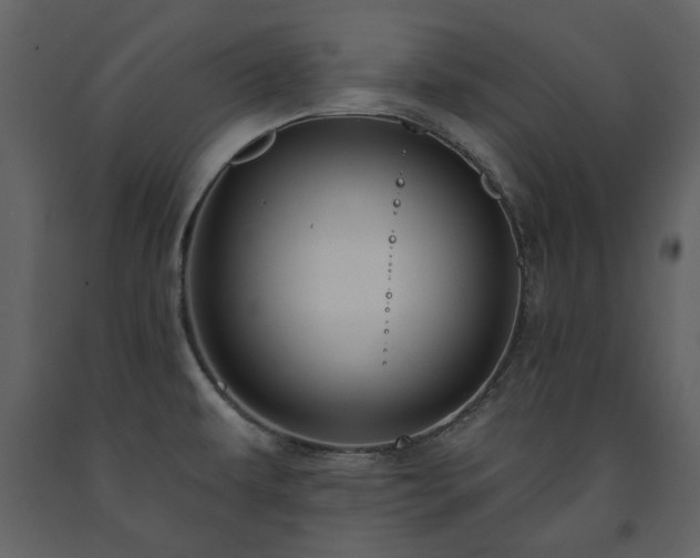 X0000091511479200708241619