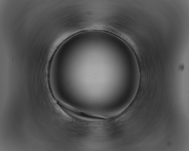 X0000091511480200708241619