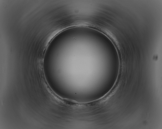 X0000091511481200708241619