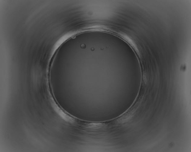 X0000091511482200708241619