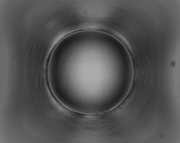 X0000091511483200708241619