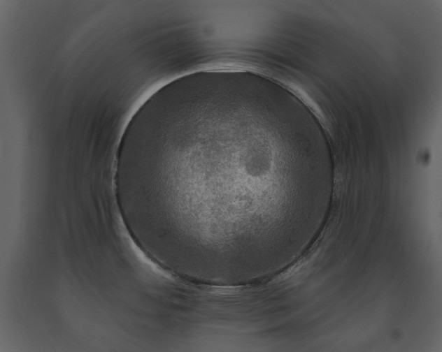 X0000091511484200708241619