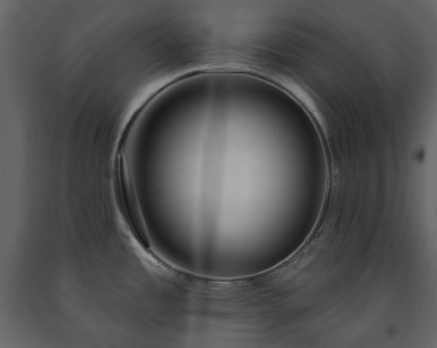 X0000091511485200708241619