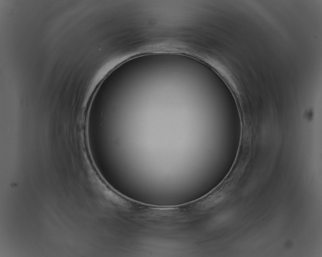 X0000091511486200708241619