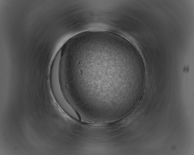X0000091511488200708241619