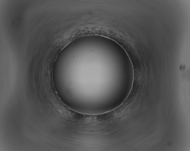 X0000091511489200708241618