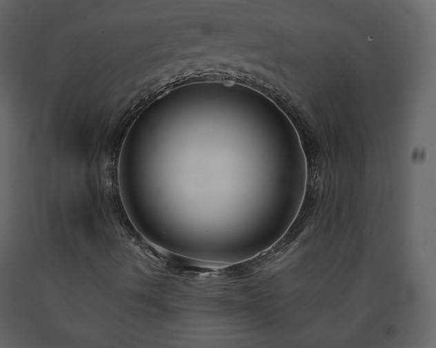 X0000091511490200708241618