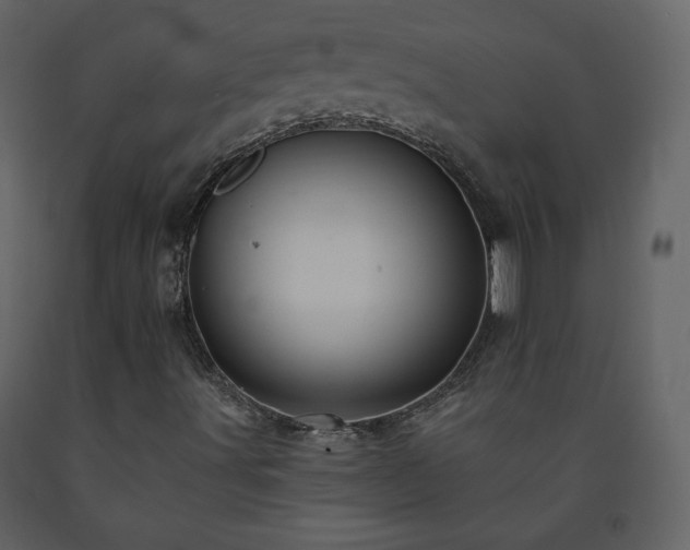 X0000091511491200708241618