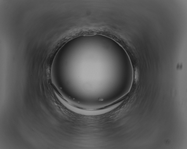 X0000091511492200708241618