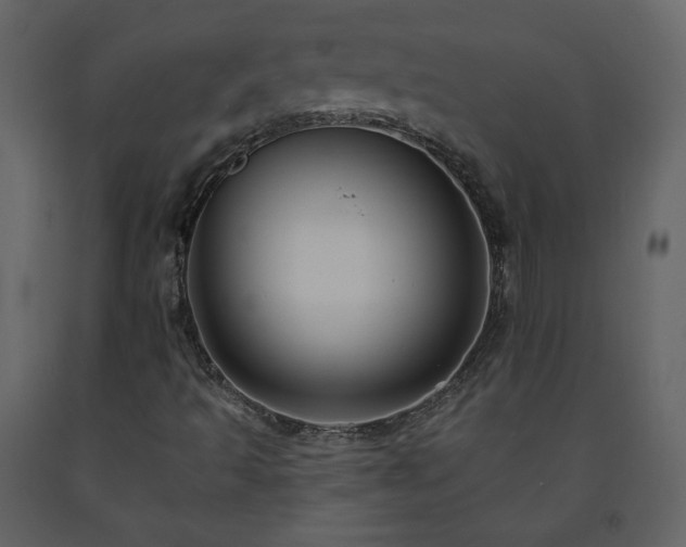 X0000091511493200708241618