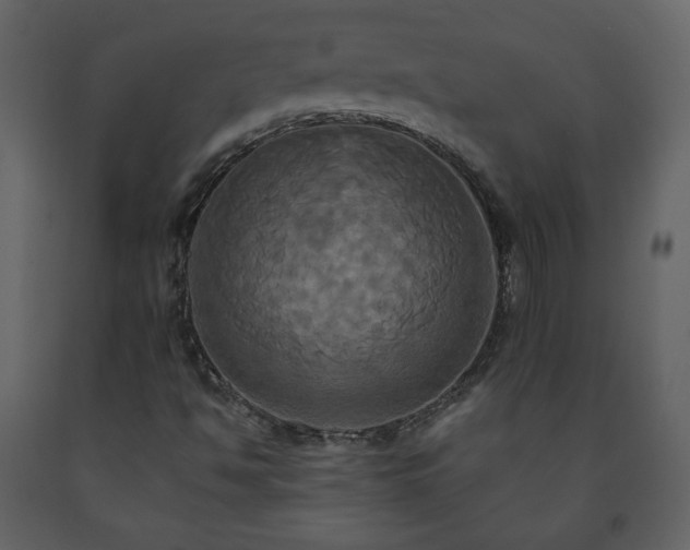 X0000091511494200708241618