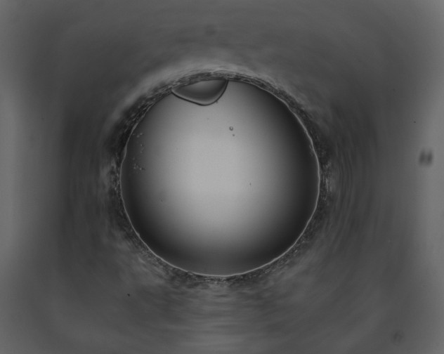 X0000091511495200708241618