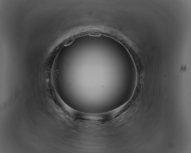 X0000091511496200708241618