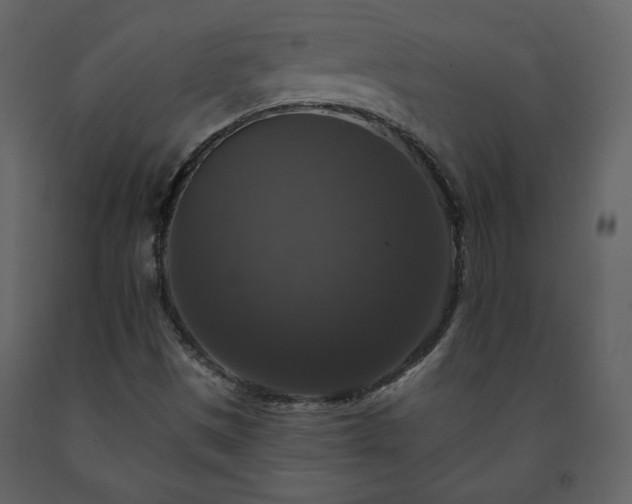 X0000091511497200708241618