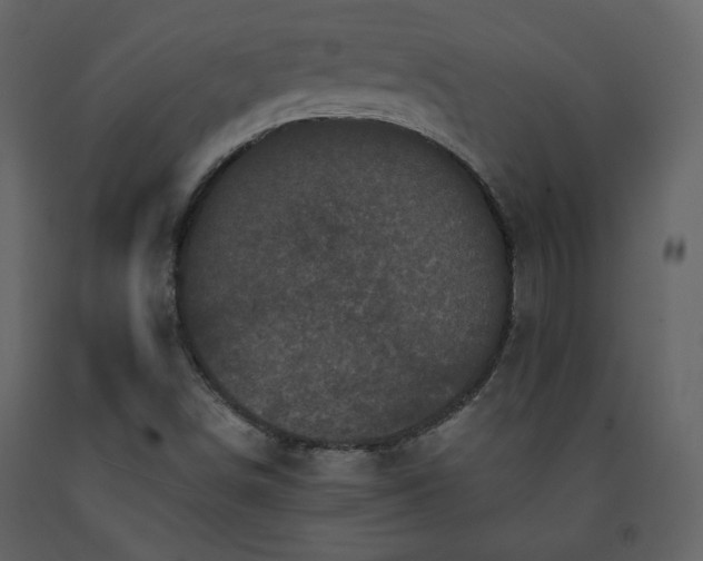 X0000091511498200708241618