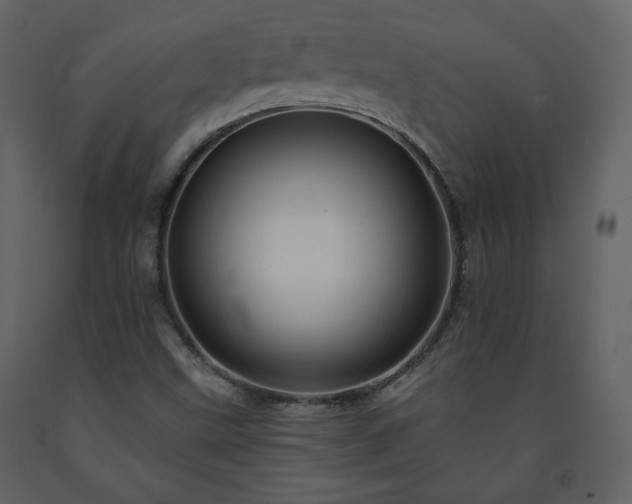 X0000091511499200708241618