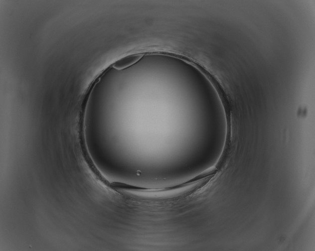 X0000091511500200708241618