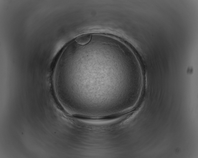 X0000091511501200708241618