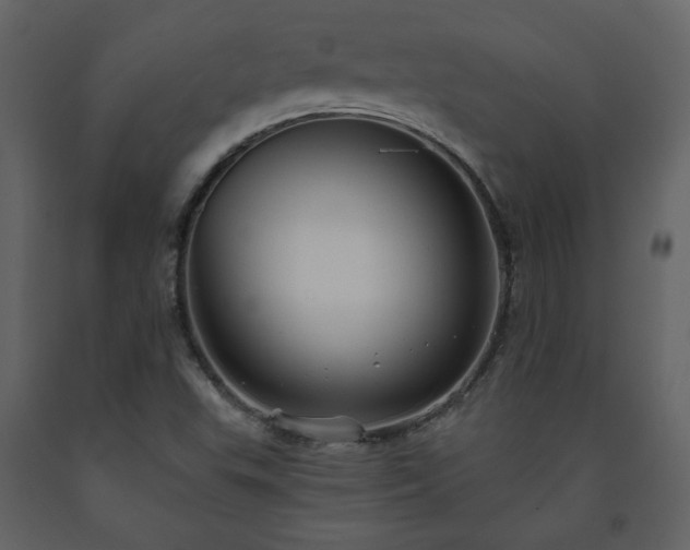 X0000091511503200708241618