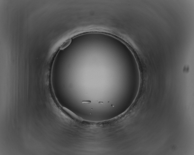 X0000091511504200708241618