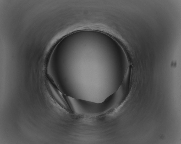 X0000091511506200708241619