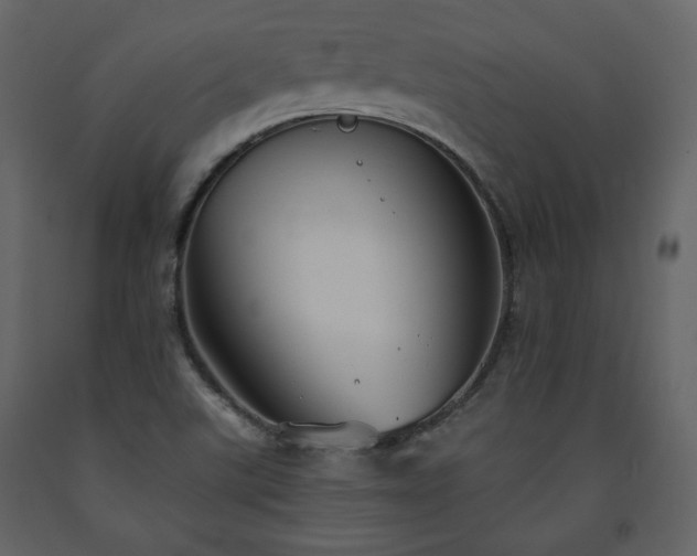X0000091511507200708241619