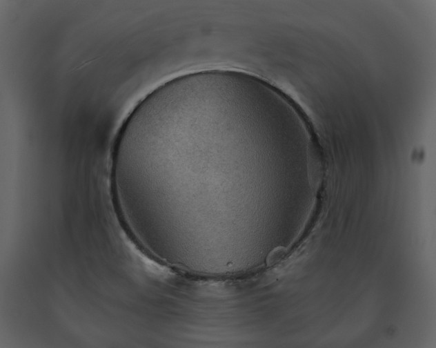 X0000091511508200708241619