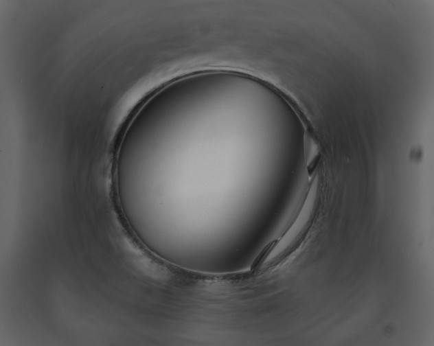X0000091511511200708241619