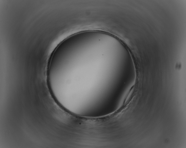 X0000091511512200708241619