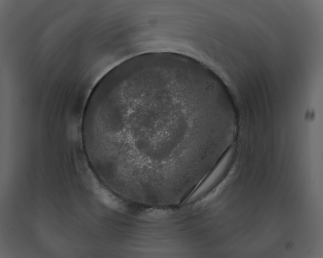 X0000091511513200708241619