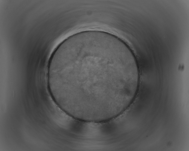 X0000091511514200708241619