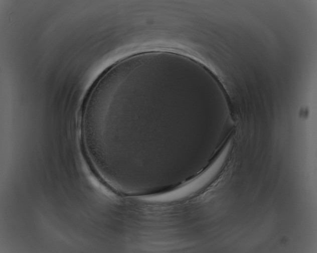X0000091511515200708241619