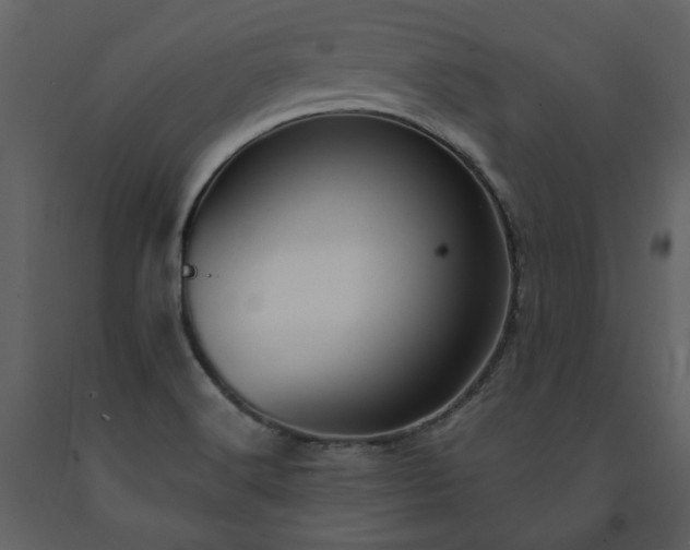 X0000091511516200708241619