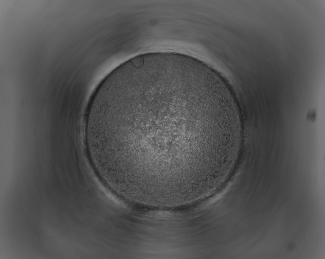 X0000091511517200708241619