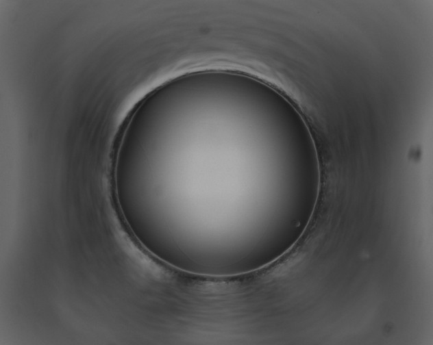 X0000091511518200708241619