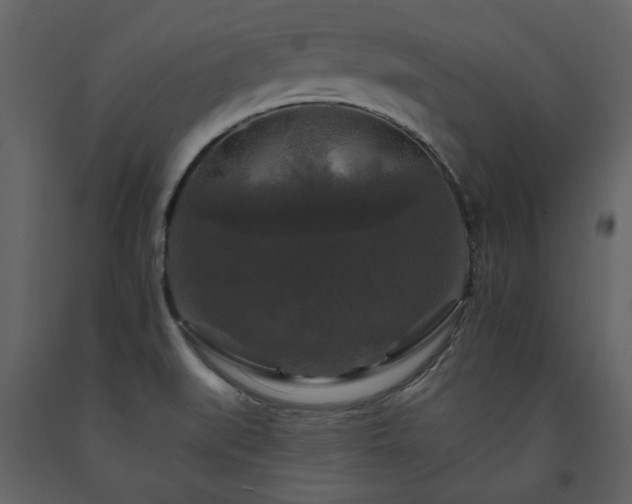 X0000091511519200708241619