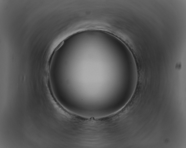 X0000091511520200708241619