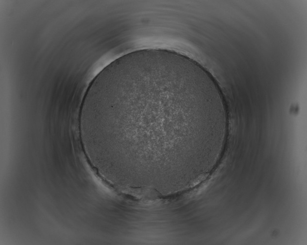 X0000091511521200708241619
