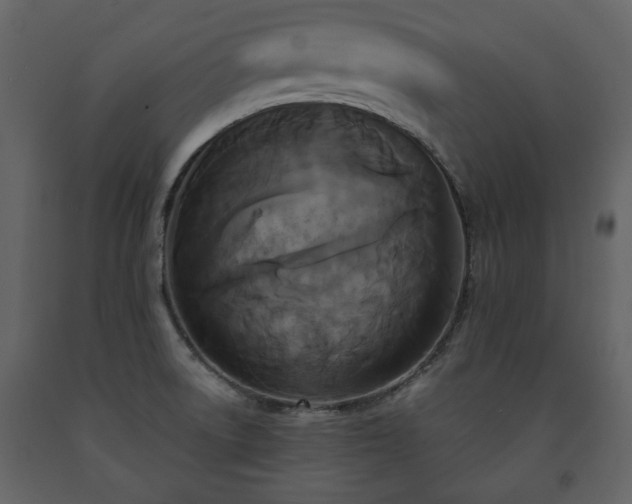 X0000091511522200708241619