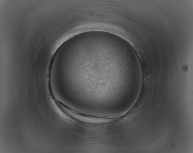 X0000091511523200708241619