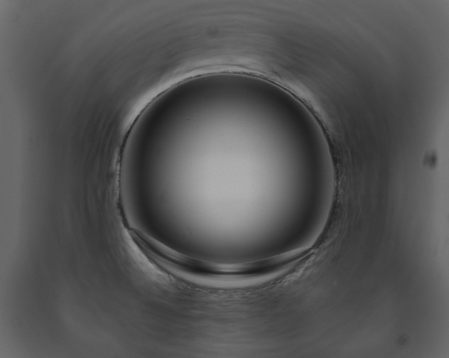 X0000091511524200708241619