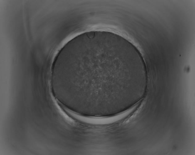 X0000091511525200708241619
