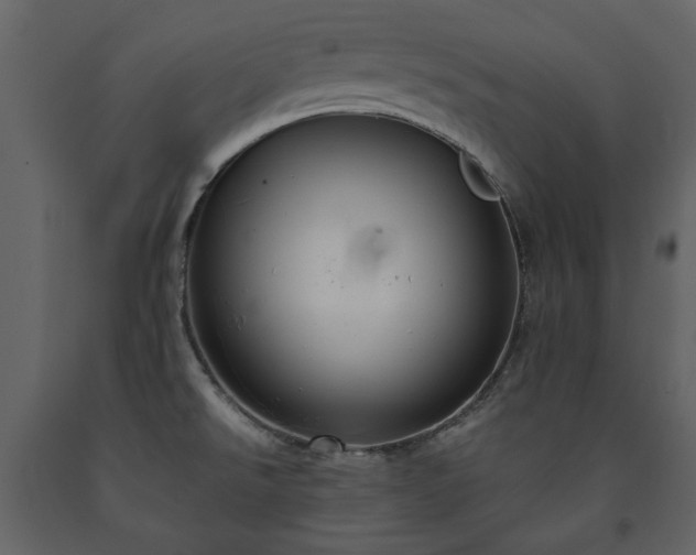 X0000091511526200708241619