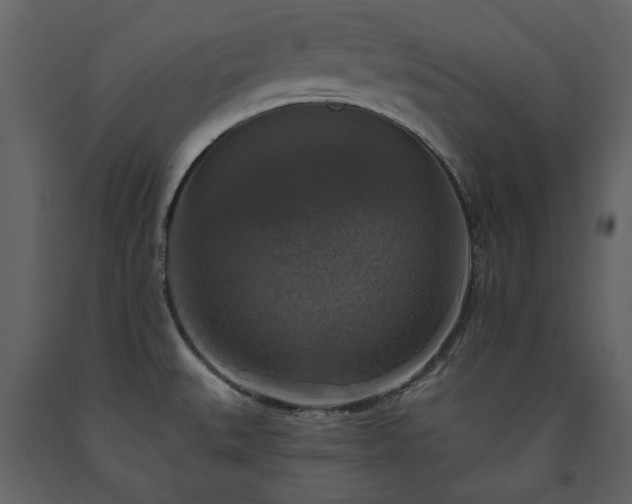 X0000091511527200708241619