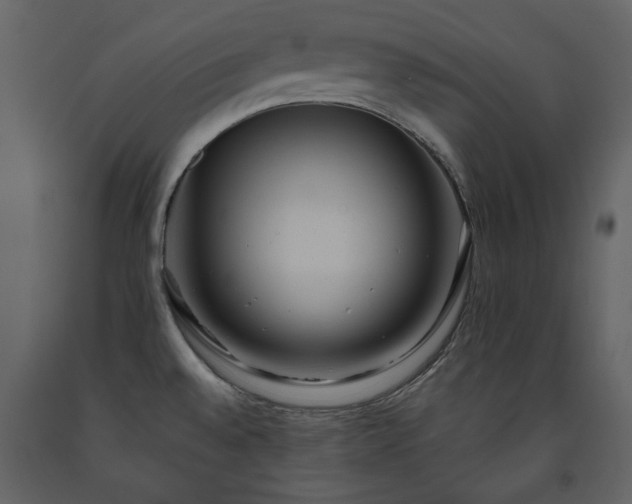 X0000091511528200708241619